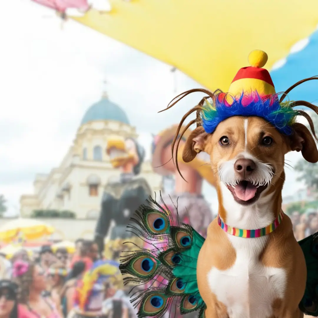 Farelo-no-carnaval