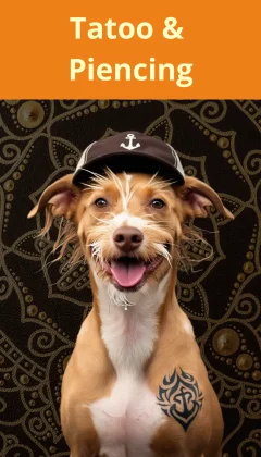 Cópia de GUIADUÓ-embreve (2)